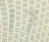 Image 178604 of Printing technique