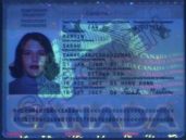 Image 135291 of UV feature