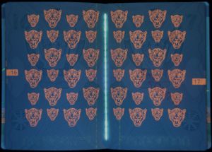 COD-AS-01001 - 
<Inner page(s)> - UV feature