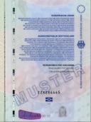 Image 371353 of Integrated card - verso