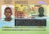 DMA-AD-02001, D