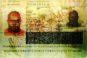 DMA-AS-02001 - 
<Biodata page> - Watermark