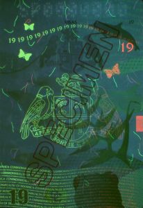 DMA-AS-02001 - 
<Inner page(s)> - UV feature