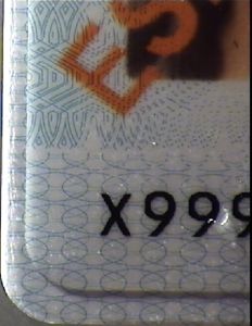 ESP-HO-02002 - 
<Recto - identity> - Laminate