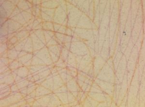 EST-FO-01002 - 
<Recto - identity> - Substrate