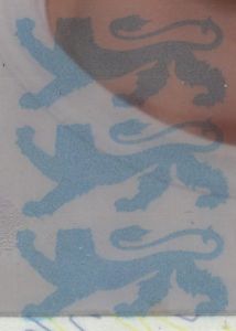 EST-IO-02001 - 
<Biodata page> - Laminate