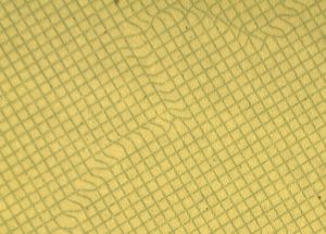 EST-JO-02002 - 
<Inside front cover> - Substrate