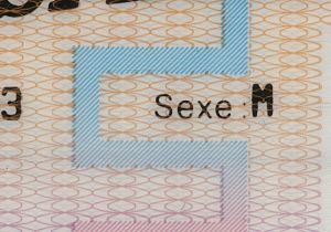 FRA-HO-01002 - 
<Recto - identity> - Printing technique