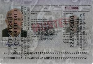 LIE-AS-02001 - 
<Biodata page> - Watermark