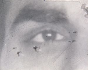 NOR-FO-02002 - 
<Recto - identity> - Facial image