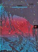 Image 329189 of UV feature