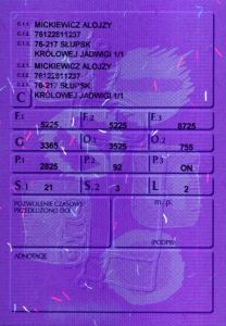 POL-GP-01001 - 
<Verso> - UV feature