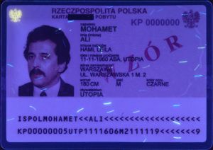 POL-HO-01003 - 
<Recto - identity> - UV feature