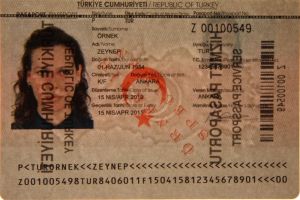 TUR-AS-02001 - 
<Biodata page> - Watermark