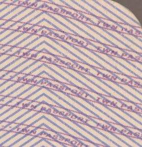 TWN-AS-04001 - 
<Inner page(s)> - Printing technique