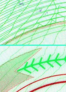 UAP-AS-01001 - 
<Integrated card - verso> - Printing technique
