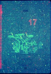 ZAF-AS-02001 - 
<Inner page(s)> - UV feature