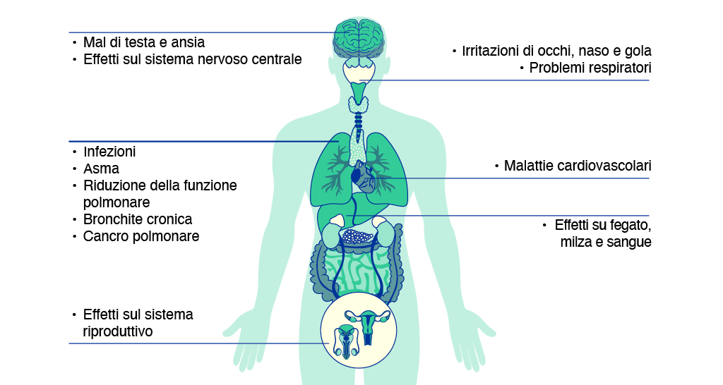 Il grafico mostra gli organi del corpo umano e le malattie e i disturbi che possono insorgere a causa dell'inquinamento atmosferico: • cervello: mal di testa, ansia ed effetti sul sistema nervoso centrale • testa: irritazioni di occhi, naso e gola e problemi respiratori • polmoni: infezioni, asma, riduzione della funzione polmonare, bronchite cronica, cancro polmonare • cuore: malattie cardiovascolari • altri organi: effetti su fegato, milza e sangue, nonché sul sistema riproduttivo