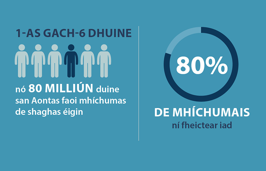 Na bearta atá á ndéanamh ag an Aontas chun táirgí agus seirbhísí a dhéanamh níos inrochtana do shaoránaigh den Aontas agus an tábhacht atá ag baint leis na bearta sin.