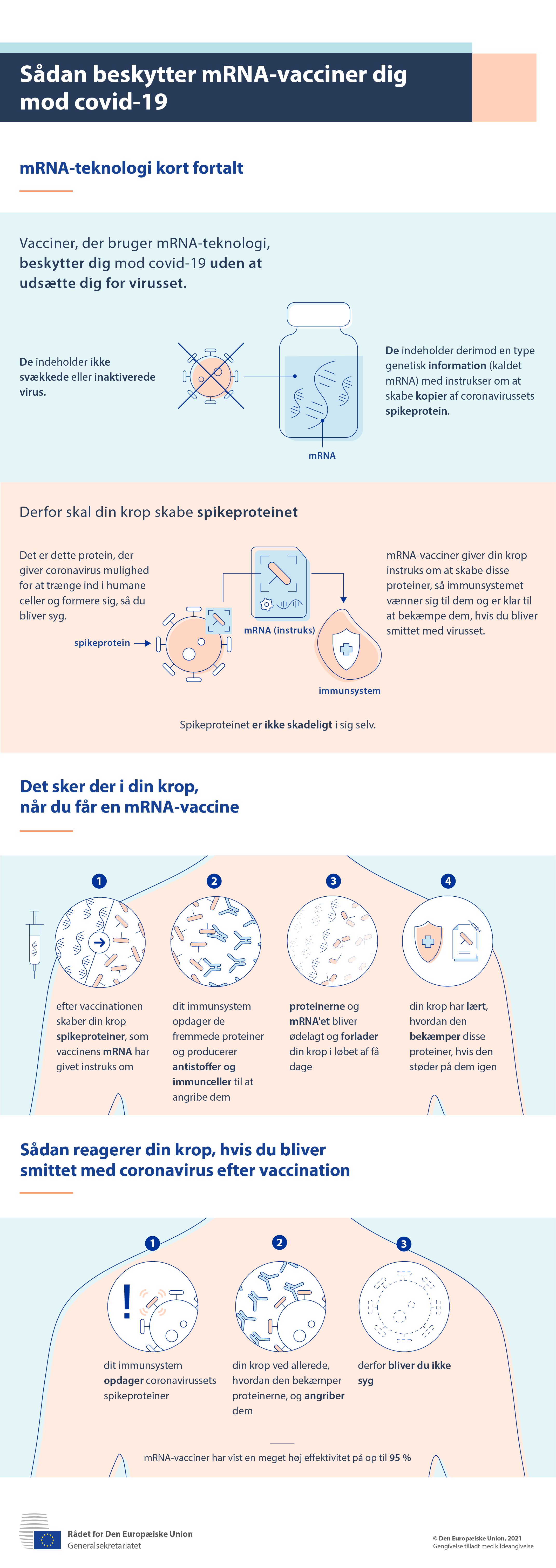 Sådan beskytter vacciner, der anvender mRNA-teknologi, befolkningen mod covid-19.