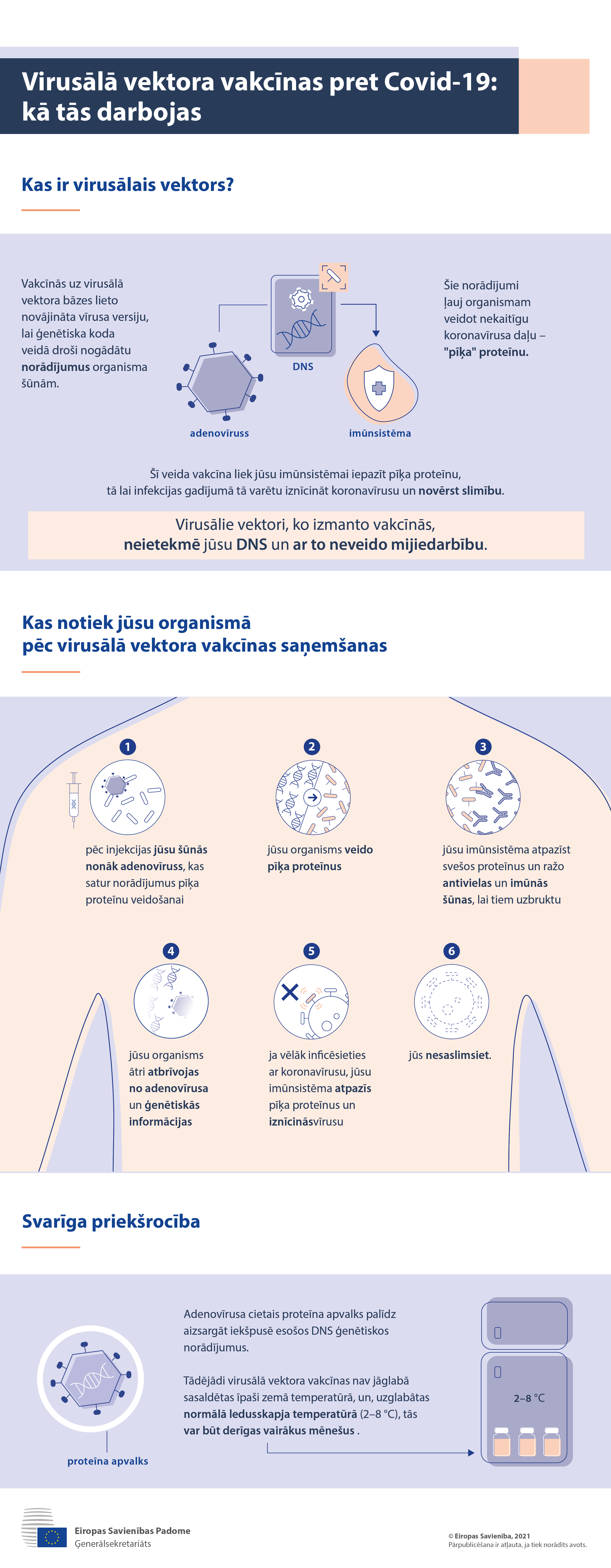 Infografika: kas ir virusālā vektora vakcīna un kas notiek jūsu organismā pēc vakcinācijas.