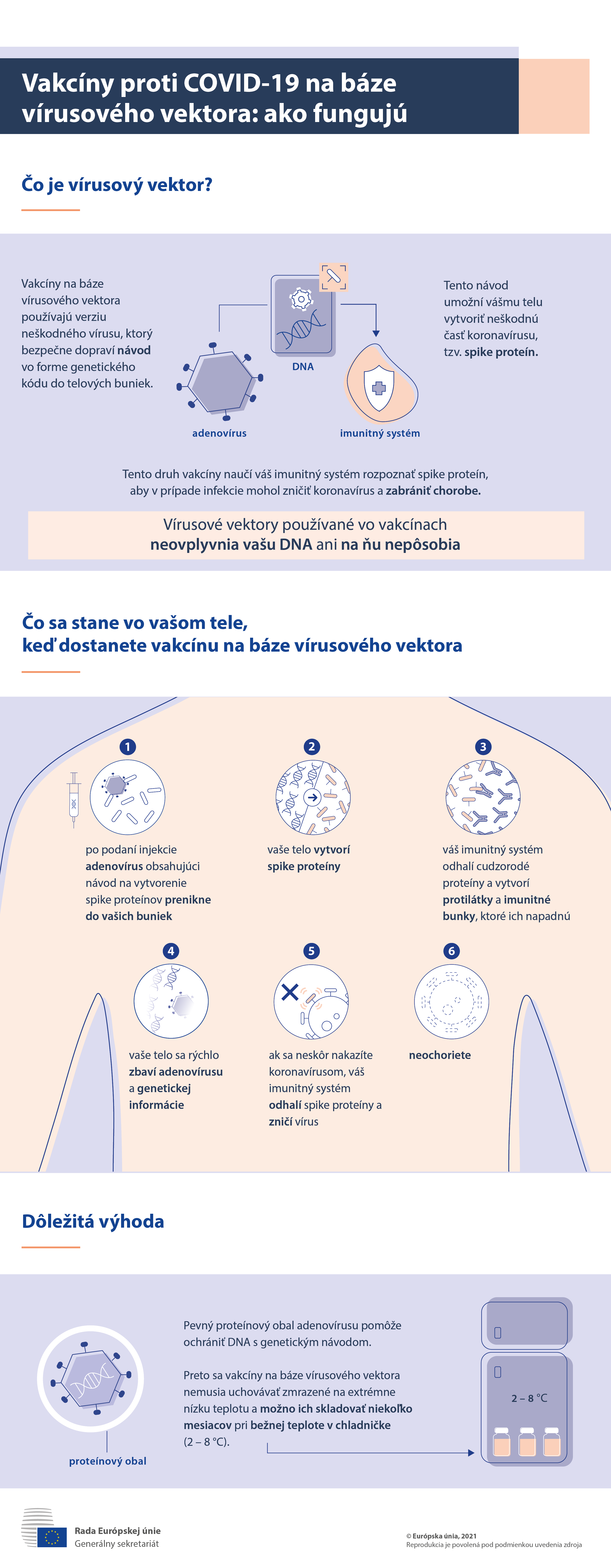 Infografika: čo je vakcína na báze vírusového vektora a čo sa vo vašom tele stane po očkovaní.