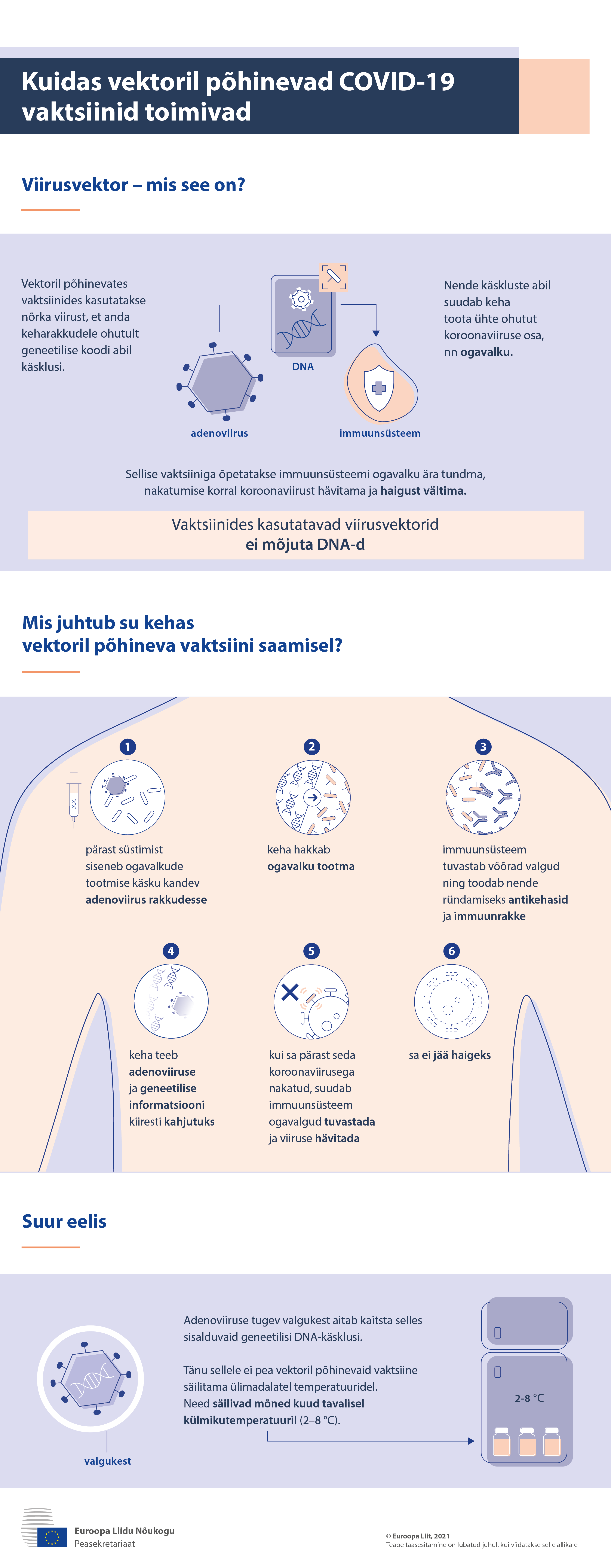 Infograafik – Mis on vektoril põhinev vaktsiin ja mis juhtub sinu organismis pärast vaktsineerimist?