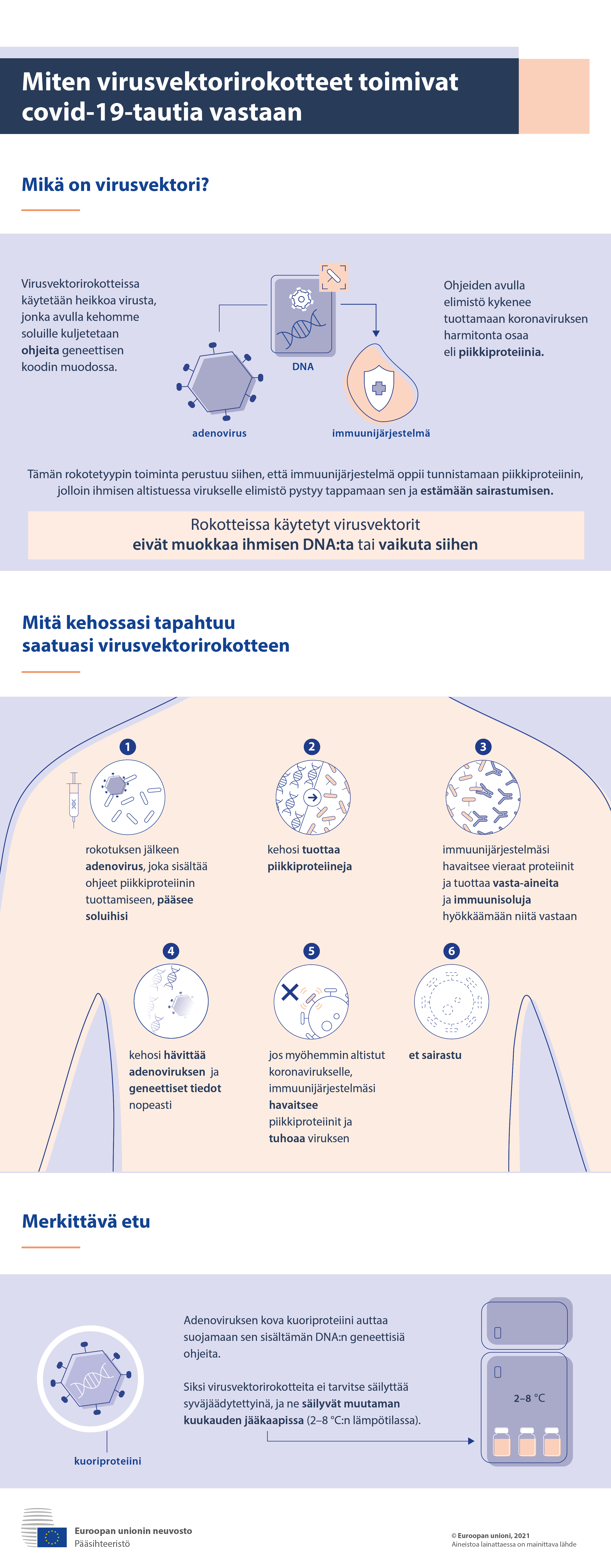 Infografiikka: Mikä on virusvektorirokote ja mitä kehossasi tapahtuu saatuasi rokotteen