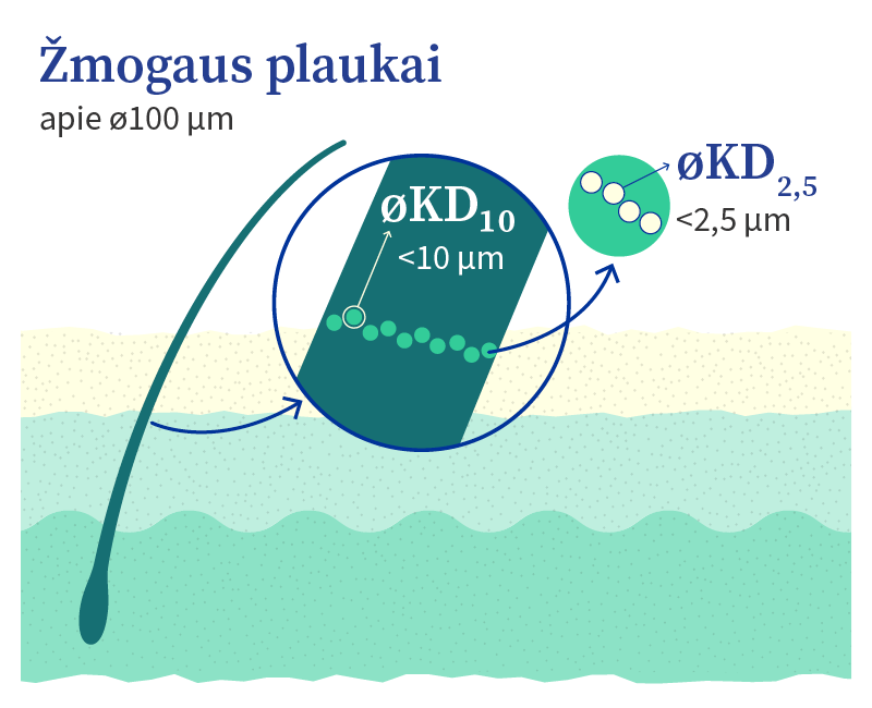 Diagrama, kurioje žmogaus plauko diametras (apie 100 μm) lyginamas su KD10 (mažesnių nei 10 μm) ir KD2,5 (mažesnių nei 2,5 μm) dydžiu.