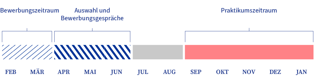 Eine horizontale Zeitleiste zeigt jeweils durch farbige Balken den Bewerbungszeitraum (Februar bis März), die Phase für die Auswahl und die Bewerbungsgespräche (April bis Juni) sowie den Praktikumszeitraum (September bis Januar).