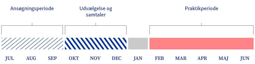 Denne lineære tidslinje måned for måned viser ansøgningsperioden (juli-september), udvælgelses- og interviewfasen (oktober-december) og praktikopholdet (februar-juni), der hver især er repræsenteret ved farvede bjælker.