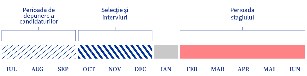 Acest calendar orizontal pe luni afișează perioada de depunere a candidaturilor (iulie-septembrie), etapa selecției și cea a interviurilor (octombrie-decembrie), precum și perioada stagiului (februarie-iunie), fiecare reprezentată de bare colorate.