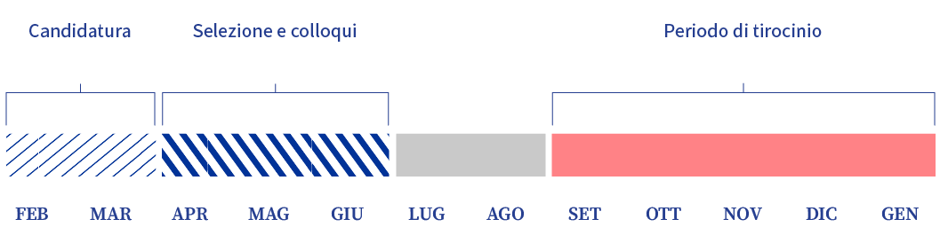 Questo diagramma cronologico orizzontale diviso per mese illustra il periodo di presentazione delle candidature (febbraio-marzo), la fase della selezione e dei colloqui (aprile-giugno) e il periodo di tirocinio (settembre-gennaio); ciascun periodo è indicato da barre di diverso colore.