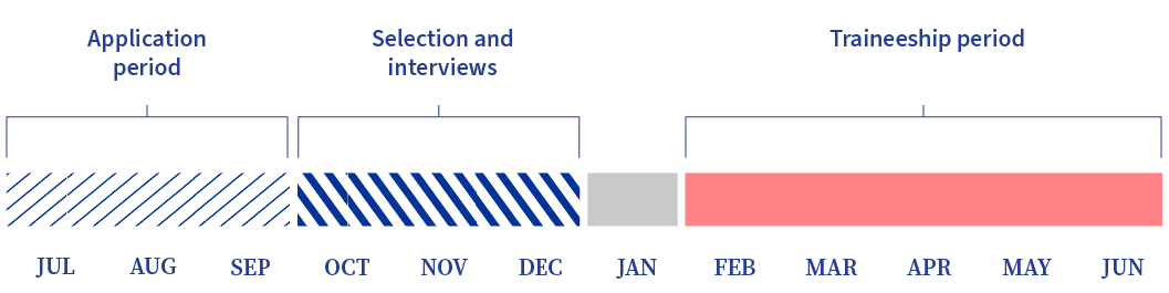 This horizontal month-by-month timeline displays the application period (July-September), the selection and interviews stages (October-December), and the traineeship (February-June), each represented by coloured bars.
