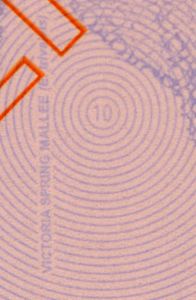 AUS-TP-05003 - 
                    <Paġna/i ta' ġewwa>
                     - Teknika ta&rsquo; stampar