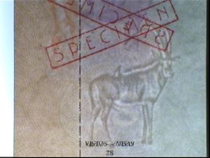 AGO-AD-02001 - 
<Pagina(e) interna(e)> - Filigrana