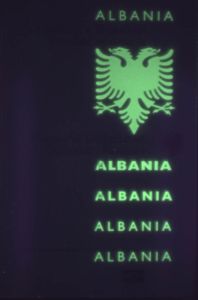 ALB-AD-02001 - 
<Tessera integrata &ndash; verso> - Elemento UV