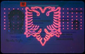 ALB-BO-01001 - 
<Recto - identit&agrave;> - Element UV