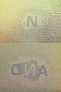 AND-AD-03001 - 
<Paġna/i ta' ġewwa> - Teknika ta&rsquo; stampar