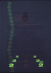 ARG-AD-02001 - 
<Pagina(e) interna(e)> - Elemento UV