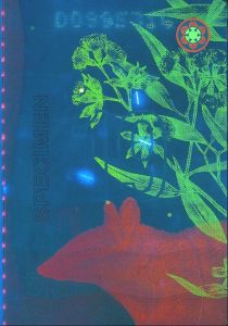 AUS-AD-04001 - 
<Paġna/i ta' ġewwa> - Element UV