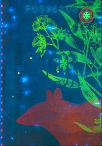 AUS-AS-04001 - 
<Vnitřn&iacute; strana (strany)> - Jištěn&iacute; v UV světle