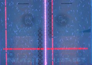 AUT-AP-03001 - 
<Inner page(s)> - UV feature