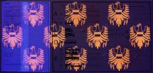 AUT-FO-03001 - 
<Recto &ndash; identit&agrave;> - Elemento UV