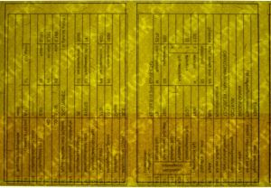 AUT-GO-02002 - 
<Verso> - Watermark