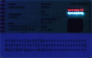 AUT-HO-05003 - 
<Verso> - Element UV