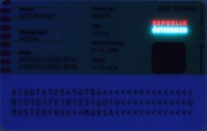 AUT-HO-07003 - 
<Verso> - Element UV