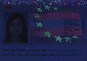 AUT-JO-04001 - 
<Paġna tal-bijodata> - Element UV
