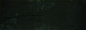 AUT-WO-02002 - 
<Předn&iacute; strana - totožnost> - Jištěn&iacute; v UV světle
