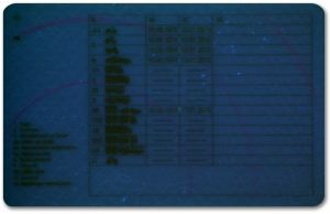 BEL-FO-02001 - 
<Verso> - Elemento UV